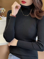 Knitted Turtleneck Pullover Sweater
